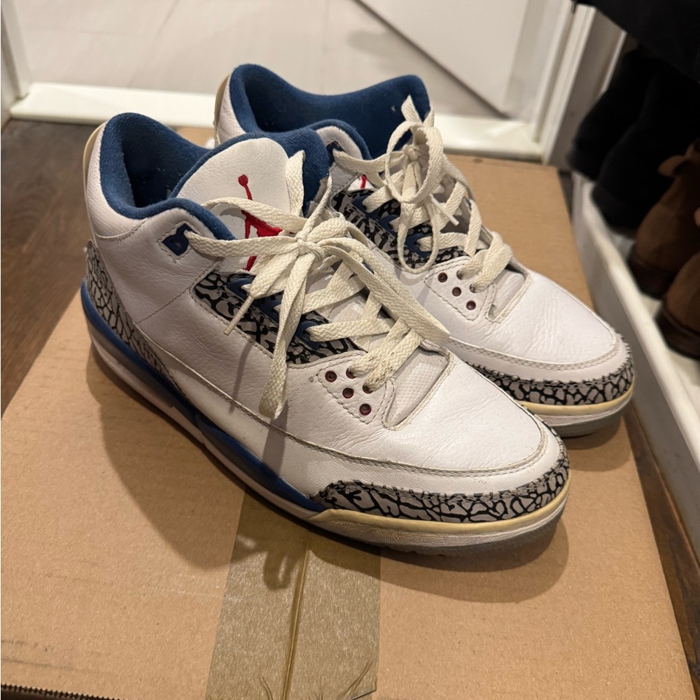 Air Jordan 3 True Blue
